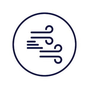 Ideale Windbedingungen am Neusiedlersee